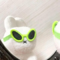 八卦搬运工